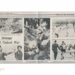 Iconic photos mosaic of the Vietnam War